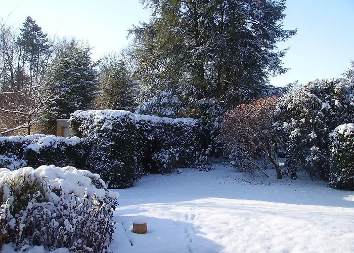 Gæstehus Donar Köln