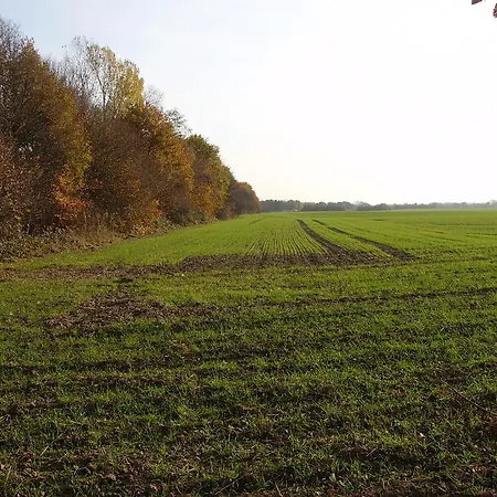 Casa de hóspedes Donar