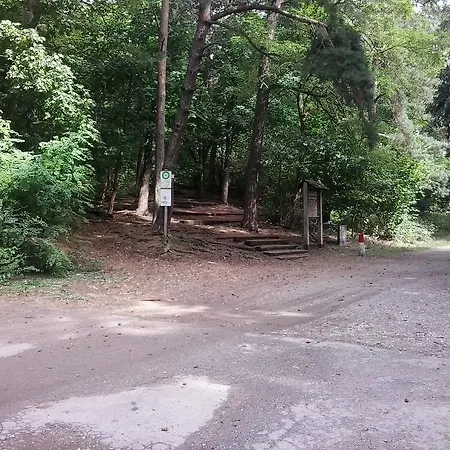 Casa de hóspedes Donar