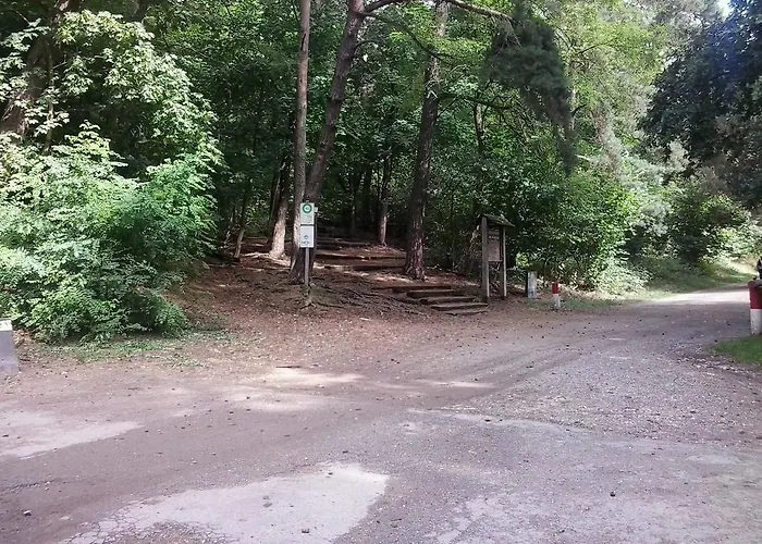 بيت ضيافة Donar